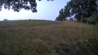 The field cam, Jul 24, 2023 at 7:38am
