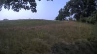 The field cam, Jul 24, 2023 at 7:49am