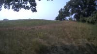 The field cam, Jul 24, 2023 at 8:28am