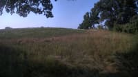 The field cam, Jul 25, 2023 at 6:28am