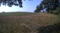 The field cam, Jul 25, 2023 at 7:27am