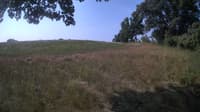 The field cam, Jul 25, 2023 at 7:45am