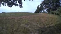 The field cam, Jul 26, 2023 at 7:28am