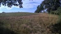 The field cam, Jul 27, 2023 at 6:37am