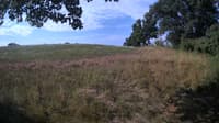 The field cam, Jul 27, 2023 at 6:41am