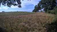The field cam, Jul 27, 2023 at 6:42am
