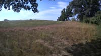 The field cam, Jul 27, 2023 at 7:16am