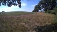 The field cam, Jul 27, 2023 at 7:40am