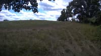 The field cam, Jul 29, 2023 at 10:56am