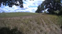 The field cam, Jul 29, 2023 at 11:45am
