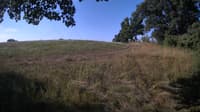 The field cam, Aug 1, 2023 at 6:30am