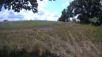 The field cam, Aug 2, 2023 at 10:39am
