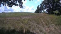 The field cam, Aug 2, 2023 at 10:40am