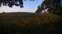 The field cam, Aug 4, 2023 at 4:33am