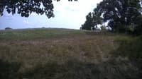 The field cam, Aug 4, 2023 at 12:55pm