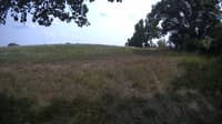 The field cam, Aug 4, 2023 at 1:00pm