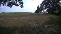 The field cam, Aug 4, 2023 at 1:06pm