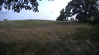 The field cam, Aug 4, 2023 at 1:15pm