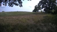 The field cam, Aug 4, 2023 at 1:15pm