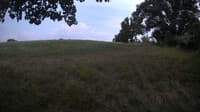 The field cam, Aug 5, 2023 at 1:53pm
