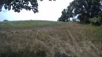 The field cam, Aug 7, 2023 at 10:15am