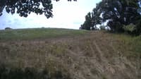 The field cam, Aug 7, 2023 at 10:54am