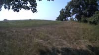 The field cam, Aug 8, 2023 at 8:35am