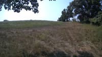 The field cam, Aug 8, 2023 at 9:16am