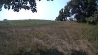 The field cam, Aug 8, 2023 at 9:25am