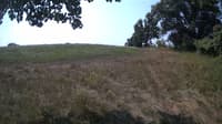 The field cam, Aug 8, 2023 at 9:25am