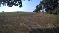 The field cam, Aug 9, 2023 at 8:08am