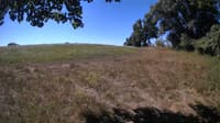 The field cam, Aug 10, 2023 at 8:41am