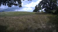 The field cam, Aug 12, 2023 at 12:51pm