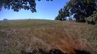 The field cam, Aug 15, 2023 at 9:16am