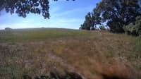 The field cam, Aug 16, 2023 at 9:25am