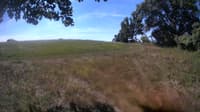 The field cam, Aug 16, 2023 at 9:32am