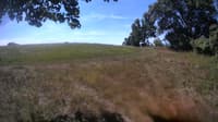 The field cam, Aug 16, 2023 at 9:34am