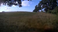 The field cam, Aug 17, 2023 at 6:24am