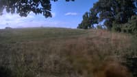 The field cam, Aug 17, 2023 at 6:39am