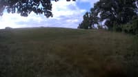 The field cam, Aug 17, 2023 at 7:31am