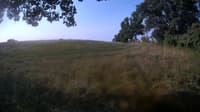 The field cam, Aug 18, 2023 at 6:18am