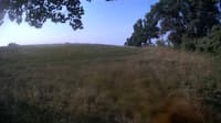 The field cam, Aug 18, 2023 at 6:29am