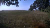 The field cam, Aug 18, 2023 at 6:33am