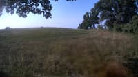 The field cam, Aug 18, 2023 at 6:40am