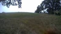 The field cam, Aug 18, 2023 at 10:14am