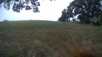 The field cam, Aug 18, 2023 at 10:30am