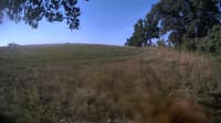 The field cam, Aug 19, 2023 at 6:33am
