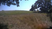 The field cam, Aug 19, 2023 at 12:21pm
