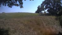 The field cam, Aug 19, 2023 at 12:23pm