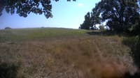 The field cam, Aug 19, 2023 at 12:31pm